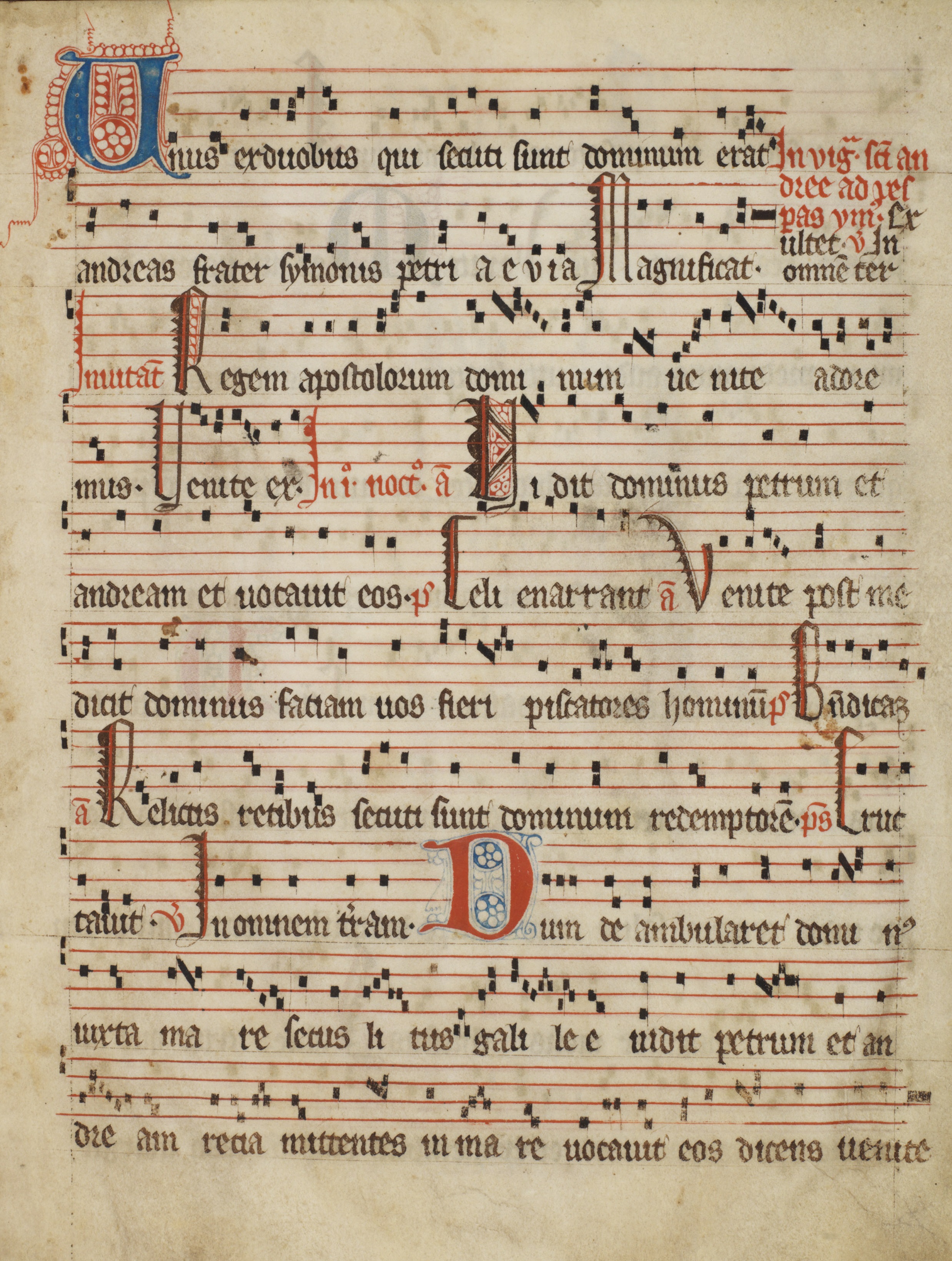 Franciscan antiphoner